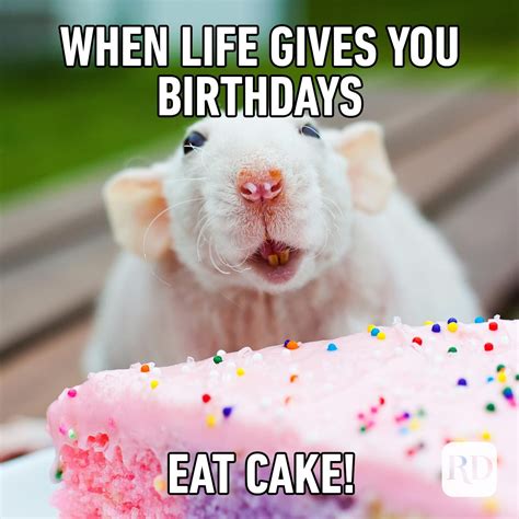 geburtstag memes|75 Funny Hilarious Happy Birthday Memes To Add。